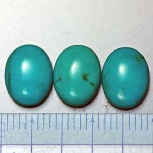 �V�R��,�^�[�R�C�Y