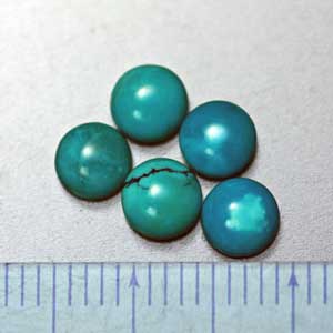 �V�R��,�^�[�R�C�Y