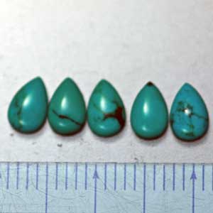 �V�R��,�^�[�R�C�Y