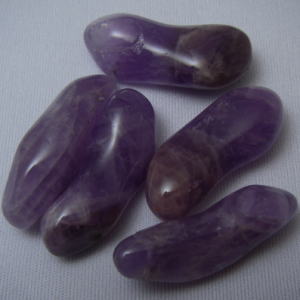  �A���W�X�g,������,�V�R�΃r�[�Y,���K�[��