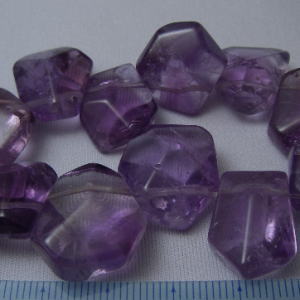 �A���W�X�g,������,�V�R�΃r�[�Y,���K�[��