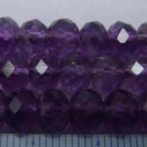 �A���W�X�g,������,�V�R�΃r�[�Y,���K�[��