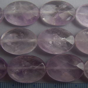 �A���W�X�g,������,�V�R�΃r�[�Y,���K�[��