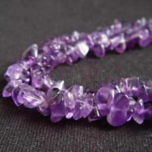 �A���W�X�g,������,�V�R�΃r�[�Y,�V�R��,���K�[��