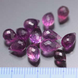 �A���W�X�g�E�������E�h���b�v�`�V�R�΃r�[�Y�E���K�[��