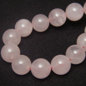 �V�R�΃r�[�Y,���[�Y�N�I�[�c,�g����,���K�[��