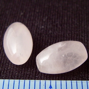 �V�R�΃r�[�Y,���[�Y�N�I�[�c,�g����,���K�[��