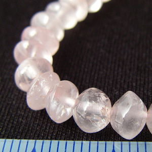 �V�R�΃r�[�Y,���[�Y�N�I�[�c,�g����,���K�[��