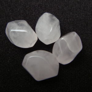 �V�R�΃r�[�Y,���[�Y�N�I�[�c,�g����,���K�[��