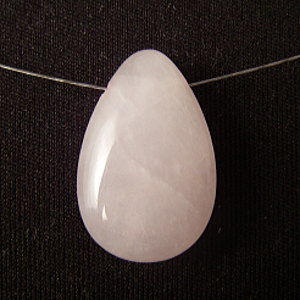 �V�R�΃r�[�Y,���[�Y�N�I�[�c,�g����,���K�[��