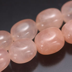 �V�R�΃r�[�Y,���[�Y�N�I�[�c,�g����,���K�[��