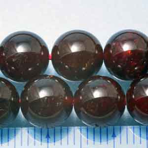 �K�[�l�b�g,�V�R�΃r�[�Y,���K�[��