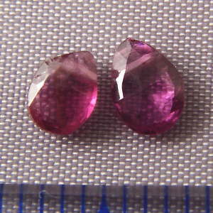 �K�[�l�b�g,�V�R�΃r�[�Y,���K�[��