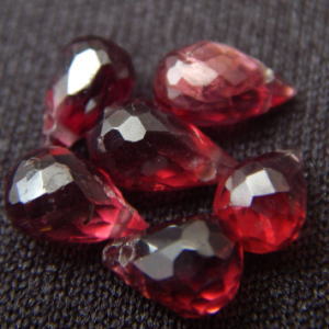 �K�[�l�b�g,�V�R�΃r�[�Y,���K�[��