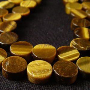 �V�R�΃r�[�Y,�^�C�K�[�A�C,���K�[��