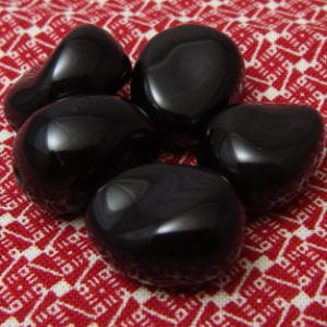 �I�u�V�f�B�A��,���j��,�����悤����,�V�R�΃r�[�Y,�V�R�΁C���K�[��