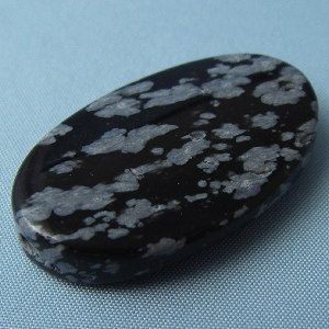 �I�u�V�f�B�A���E�V�R�΃r�[�Y�E�p���[�X�g�[���E���K�[��