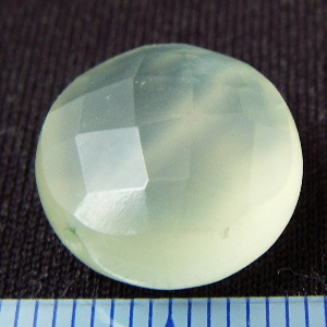 �V�R�΃r�[�Y,�j���[�W�F�C�h,���K�[��