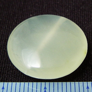 �V�R�΃r�[�Y,�j���[�W�F�C�h,���K�[��