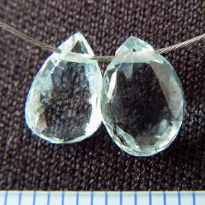 �A�N�A�}�����E�t���b�g�h���b�v�`�V�R�΃r�[�Y�E���K�[��