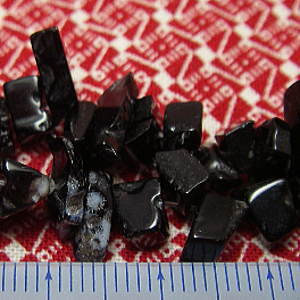 �u���b�N�A�Q�[�g�E�I�j�L�X�E�V�R�΃r�[�Y�E���K�[��