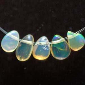 �I�p�[��,�V�R�΃r�[�Y,���K�[��