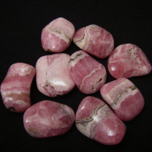 �V�R�΃r�[�Y,�C���J���[�Y,���[�h�N���T�C�g,���K�[��