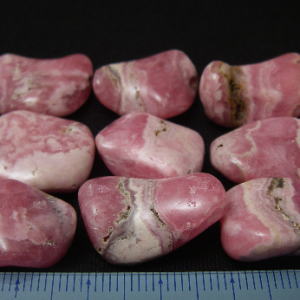 ���[�h�N���T�C�g,�C���J���[�Y,�V�R�΃r�[�Y,���K�[��