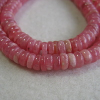 �V�R�΃r�[�Y,�C���J���[�Y,���[�h�N���T�C�g,���K�[��