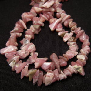 �V�R�΃r�[�Y,�C���J���[�Y,���[�h�N���T�C�g,���K�[��