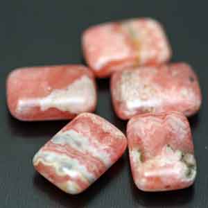 �V�R�΃r�[�Y,�C���J���[�Y,���[�h�N���T�C�g,���K�[��