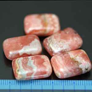 ���[�h�N���T�C�g,�C���J���[�Y,�V�R�΃r�[�Y,���K�[��