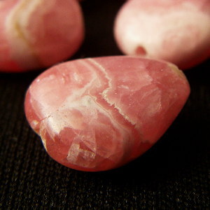 �V�R�΃r�[�Y,�C���J���[�Y,���[�h�N���T�C�g,���K�[��