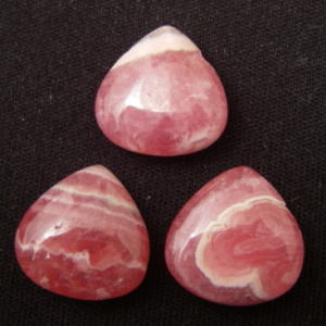 �V�R�΃r�[�Y,�C���J���[�Y,���[�h�N���T�C�g,���K�[��