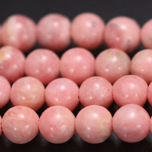 �V�R�΃r�[�Y,�C���J���[�Y,���[�h�N���T�C�g,���K�[��