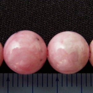 ���[�h�N���T�C�g,�C���J���[�Y,�V�R�΃r�[�Y,���K�[��