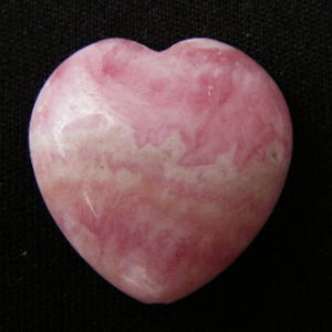 �V�R�΃r�[�Y,�C���J���[�Y,���[�h�N���T�C�g,���K�[��