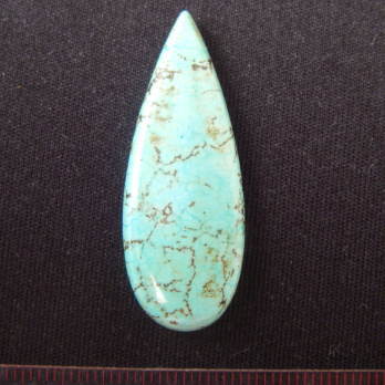 �V�R�΃r�[�Y,�n�E���C�g�^�[�R�C�Y,���S�z,���K�[��