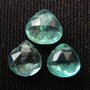 �A�p�^�C�g,�V�R�΃r�[�Y,���K�[��