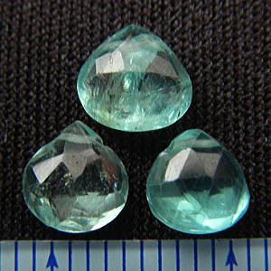 �A�p�^�C�g,�V�R�΃r�[�Y,���K�[��