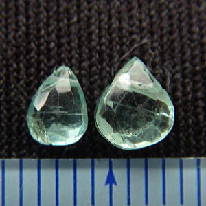 �A�p�^�C�g,�V�R�΃r�[�Y,���K�[��