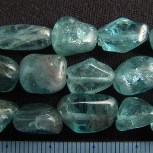 �A�p�^�C�g,�V�R�΃r�[�Y,���K�[��