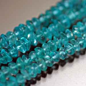 �A�p�^�C�g,�V�R�΃r�[�Y,���K�[��