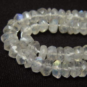 �V�R�΃r�[�Y,���[���X�g�[��,���C���{�[���[���X�g�[��,������,���K�[��