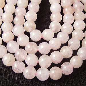 �V�R�΃r�[�Y,�����K�i�C�g,���K�[��