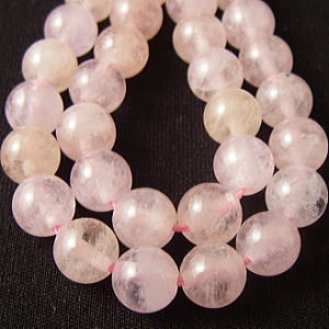 �V�R�΃r�[�Y,�����K�i�C�g,���K�[��