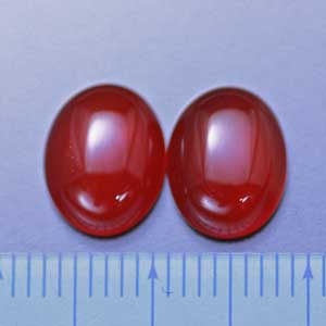 �V�R�΁E�J�[�l���A��