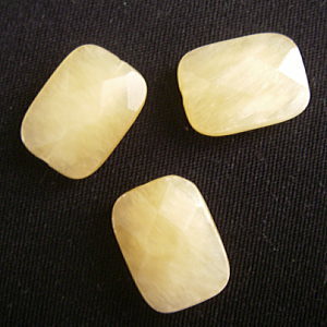 �V�R�΃r�[�Y,���K�[��,�C�G���[�W�F�C�h