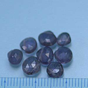 �A�C�I���C�g�E�}�����J�b�g�E�V�R�΃r�[�Y