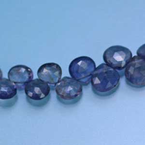 �A�C�I���C�g�E�}�����J�b�g�E�V�R�΃r�[�Y